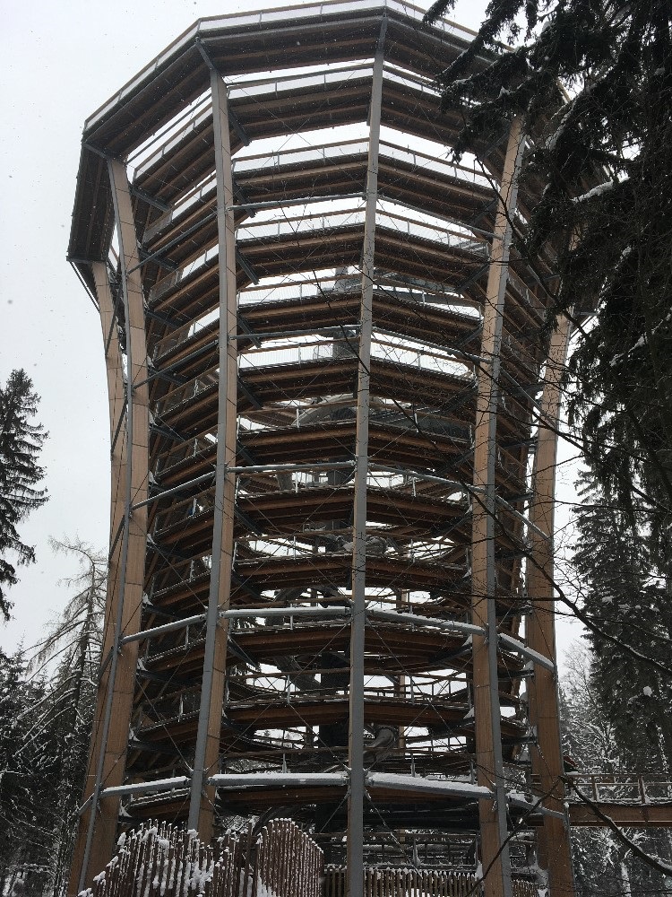 Stezka korunami stromů Janské Lázně